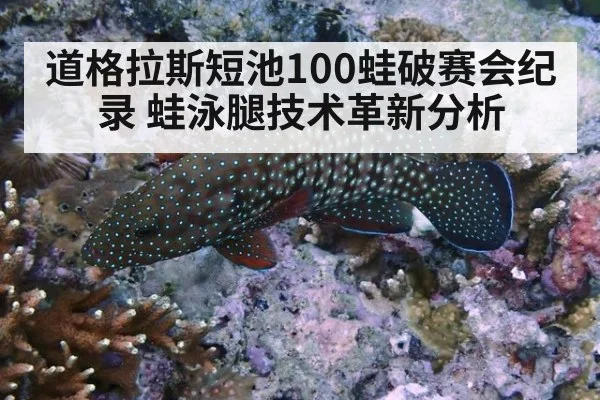 道格拉斯短池100蛙破赛会纪录 蛙泳腿技术革新分析