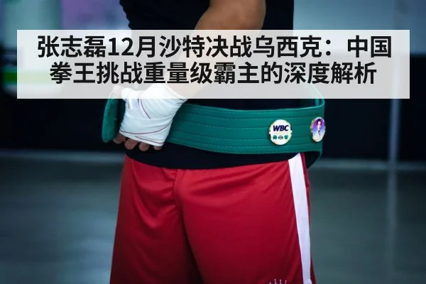 boxing championship belt